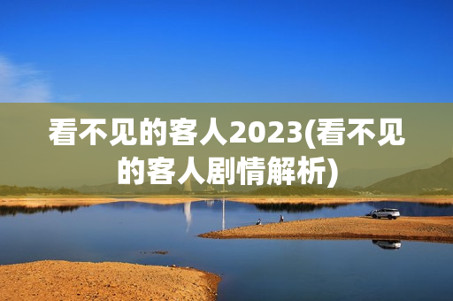 看不见的客人2023(看不见的客人剧情解析)
