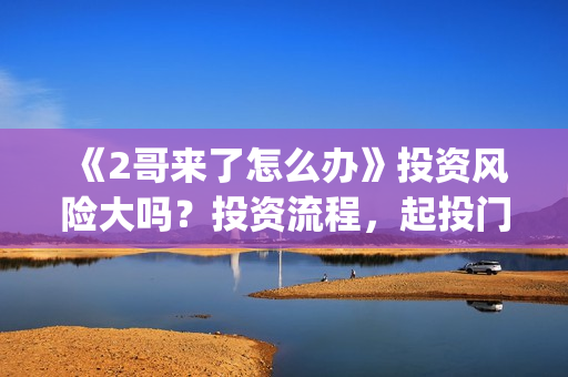 《2哥来了怎么办》投资风险大吗？投资流程，起投门槛高吗？(2哥来了怎么办上映时间)