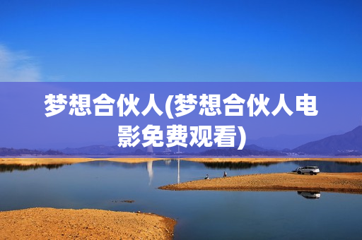 梦想合伙人(梦想合伙人电影免费观看)