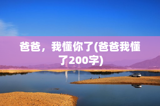 爸爸，我懂你了(爸爸我懂了200字)