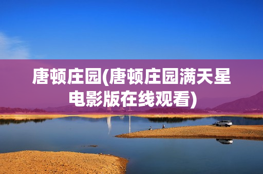 唐顿庄园(唐顿庄园满天星电影版在线观看)