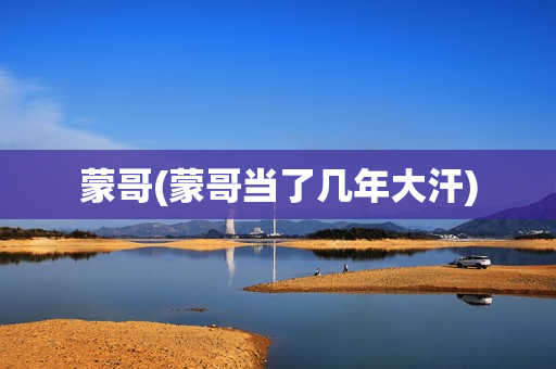 蒙哥(蒙哥当了几年大汗)