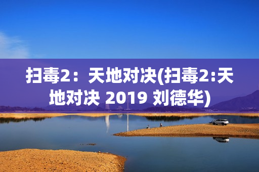扫毒2：天地对决(扫毒2:天地对决 2019 刘德华)