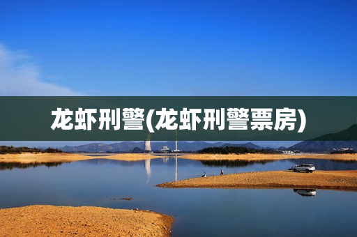 龙虾刑警(龙虾刑警票房)