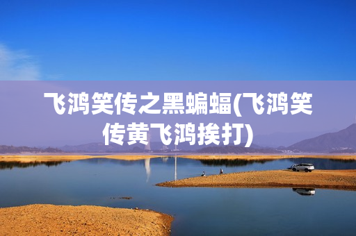 飞鸿笑传之黑蝙蝠(飞鸿笑传黄飞鸿挨打)