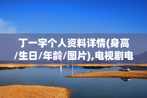 丁一宇个人资料详情(身高/生日/年龄/图片),电视剧电影作品