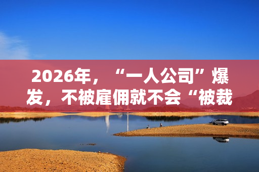 2026年，“一人公司”爆发，不被雇佣就不会“被裁”