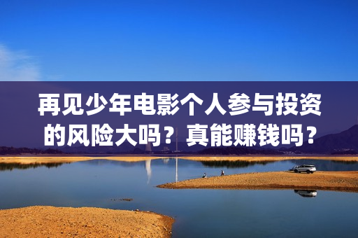 再见少年电影个人参与投资的风险大吗？真能赚钱吗？(再见 少年电影)