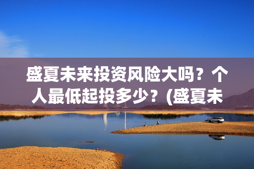 盛夏未来投资风险大吗？个人最低起投多少？(盛夏未来出品公司)