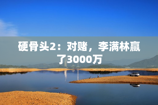 硬骨头2：对赌，李满林赢了3000万