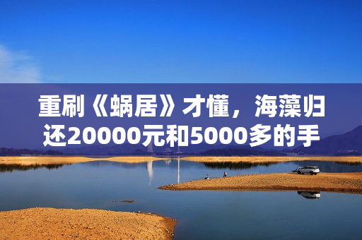 重刷《蜗居》才懂，海藻归还20000元和5000多的手机，是内心的挣扎，委身宋思明，不过是另一种活法