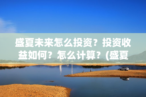 盛夏未来怎么投资？投资收益如何？怎么计算？(盛夏未来怎么了)