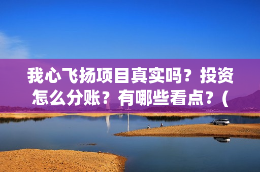 我心飞扬项目真实吗？投资怎么分账？有哪些看点？(我心飞扬成本)