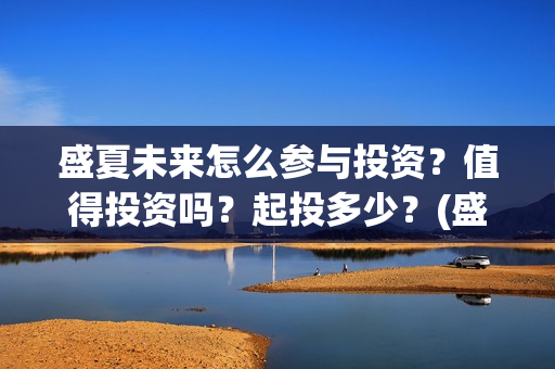 盛夏未来怎么参与投资？值得投资吗？起投多少？(盛夏未来怎么过审的)