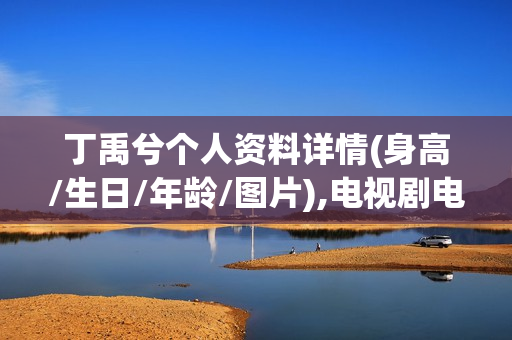 丁禹兮个人资料详情(身高/生日/年龄/图片),电视剧电影作品