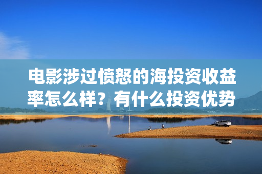 电影涉过愤怒的海投资收益率怎么样？有什么投资优势亮点？(电影涉过愤怒的海解析)