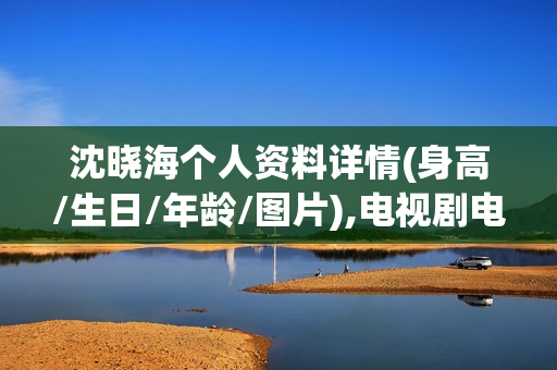 沈晓海个人资料详情(身高/生日/年龄/图片),电视剧电影作品