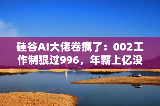 硅谷AI大佬卷疯了：002工作制狠过996，年薪上亿没时间花
