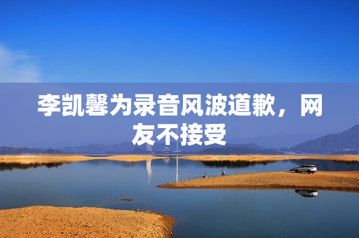 李凯馨为录音风波道歉，网友不接受