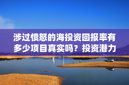 涉过愤怒的海投资回报率有多少项目真实吗？投资潜力高吗？(涉过愤怒的海没过审)