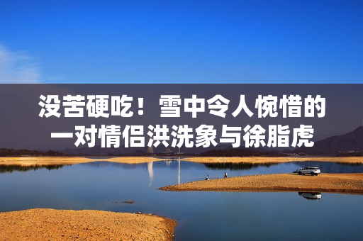 没苦硬吃！雪中令人惋惜的一对情侣洪洗象与徐脂虎