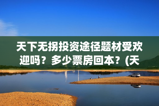 天下无拐投资途径题材受欢迎吗？多少票房回本？(天下无拐发布会)