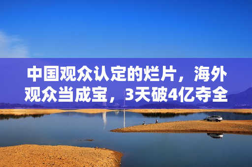 中国观众认定的烂片，海外观众当成宝，3天破4亿夺全球票房冠军