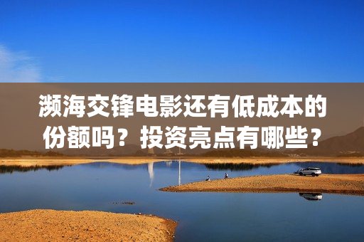 濒海交锋电影还有低成本的份额吗？投资亮点有哪些？(濒海交锋电影怎么样)