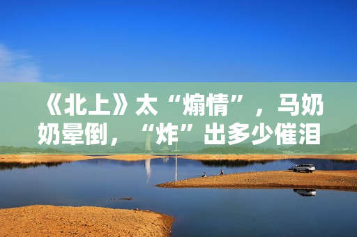 《北上》太“煽情”，马奶奶晕倒，“炸”出多少催泪的高光瞬间？