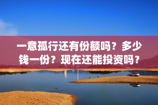 一意孤行还有份额吗？多少钱一份？现在还能投资吗？(歌词一意孤行)