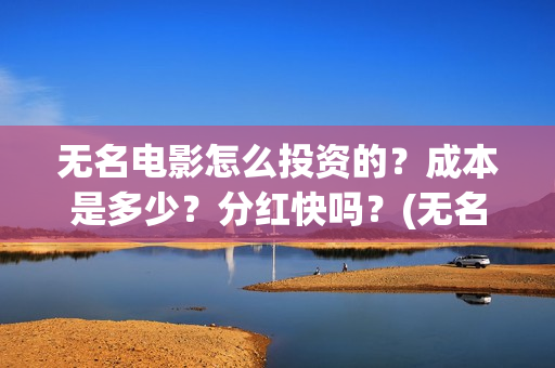 无名电影怎么投资的？成本是多少？分红快吗？(无名电影演员表)