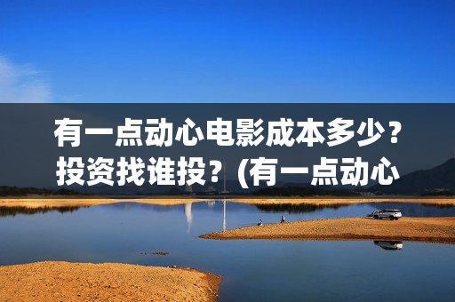 有一点动心电影成本多少？投资找谁投？(有一点动心电影完整版)