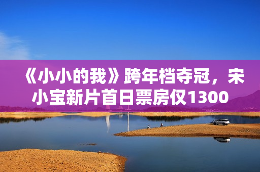 《小小的我》跨年档夺冠，宋小宝新片首日票房仅1300万，回本无望