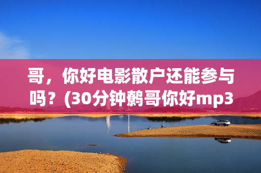 哥，你好电影散户还能参与吗？(30分钟鹩哥你好mp3)