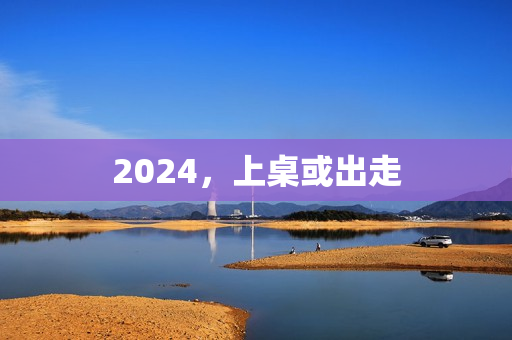 2024，上桌或出走