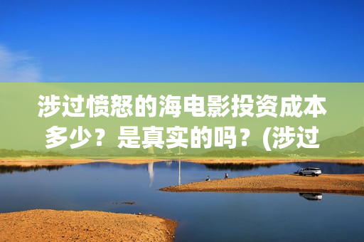 涉过愤怒的海电影投资成本多少？是真实的吗？(涉过愤怒的海电影男主是去哪个国家)