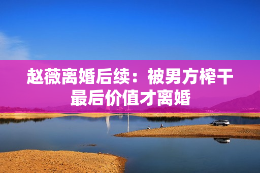 赵薇离婚后续：被男方榨干最后价值才离婚