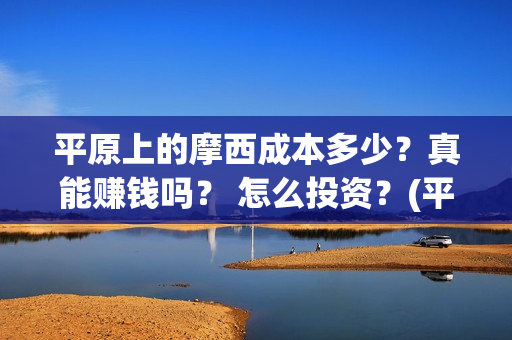 平原上的摩西成本多少？真能赚钱吗？ 怎么投资？(平原上的摩西摩西什么意思)