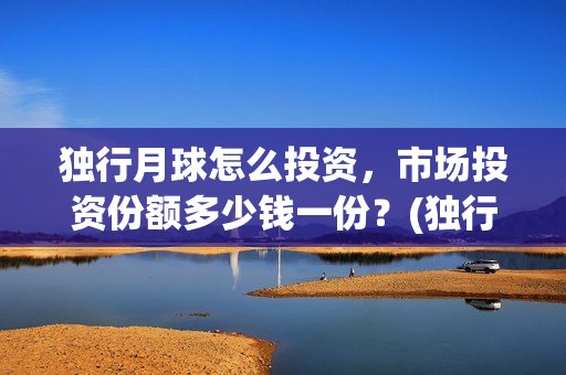 独行月球怎么投资，市场投资份额多少钱一份？(独行月球投资方)