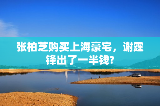 张柏芝购买上海豪宅，谢霆锋出了一半钱?