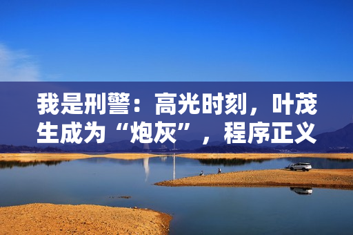 我是刑警：高光时刻，叶茂生成为“炮灰”，程序正义的意义是什么