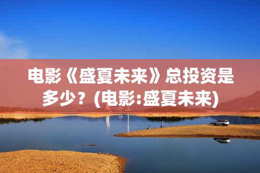 电影《盛夏未来》总投资是多少？(电影:盛夏未来)