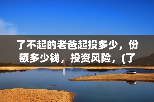 了不起的老爸起投多少，份额多少钱，投资风险，(了不起的老爸主要演员)