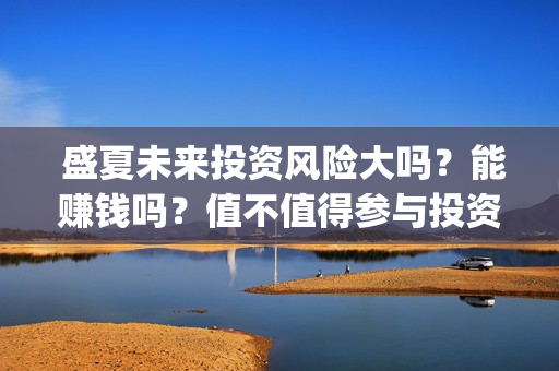 盛夏未来投资风险大吗？能赚钱吗？值不值得参与投资？(盛夏未来投资成本多少)