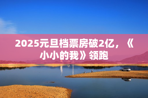 2025元旦档票房破2亿，《小小的我》领跑