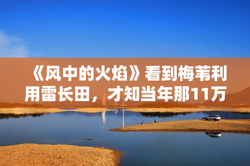 《风中的火焰》看到梅苇利用雷长田，才知当年那11万到底被谁拿走