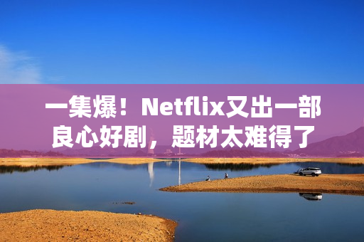一集爆！Netflix又出一部良心好剧，题材太难得了