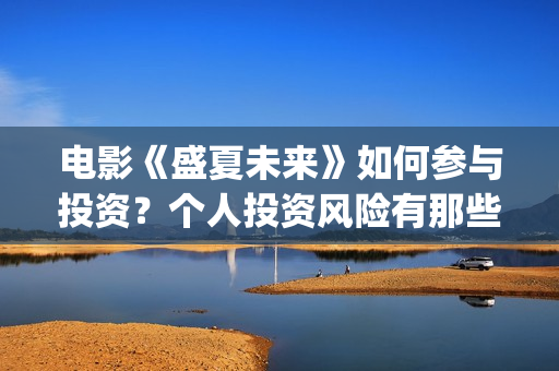 电影《盛夏未来》如何参与投资？个人投资风险有那些？成本多少？(电影《盛夏未来》)