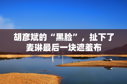 胡彦斌的“黑脸”，扯下了麦琳最后一块遮羞布