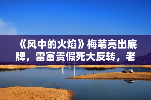 《风中的火焰》梅苇亮出底牌，雷富贵假死大反转，老褚这步棋太高